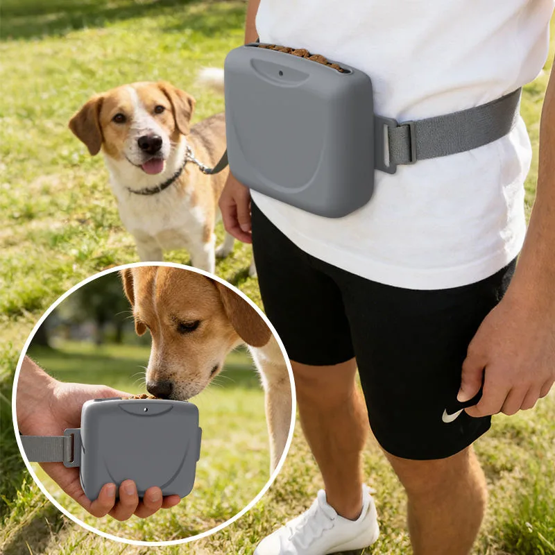 Silicone Pet Fanny Pack Dog Cat Feeding Training Snack Outdoor Bag Treats Dog Pouch Walking Bag - custom silicone manufacturer